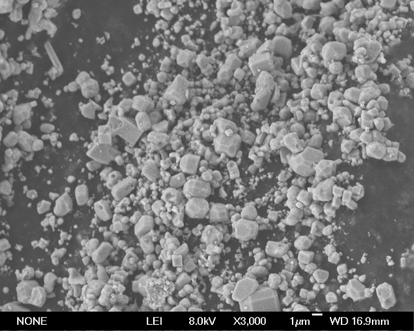 SEM Lanthanum Hexaboride Nanopowder