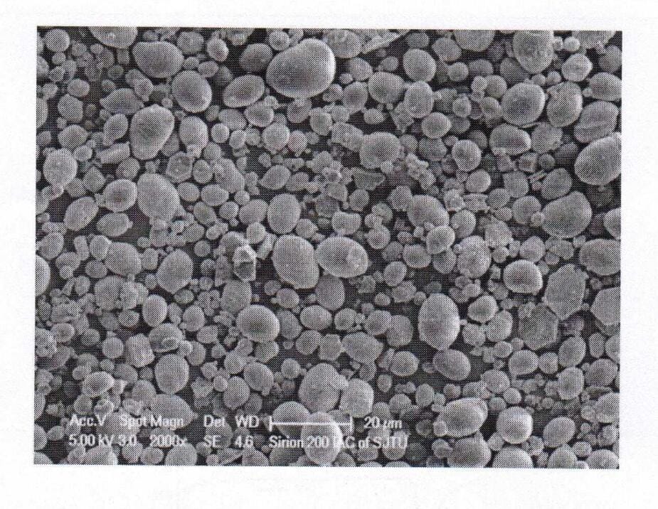 Morphology Magnesium Hydride