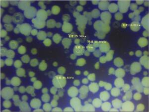 SEM Yttrium Oxide