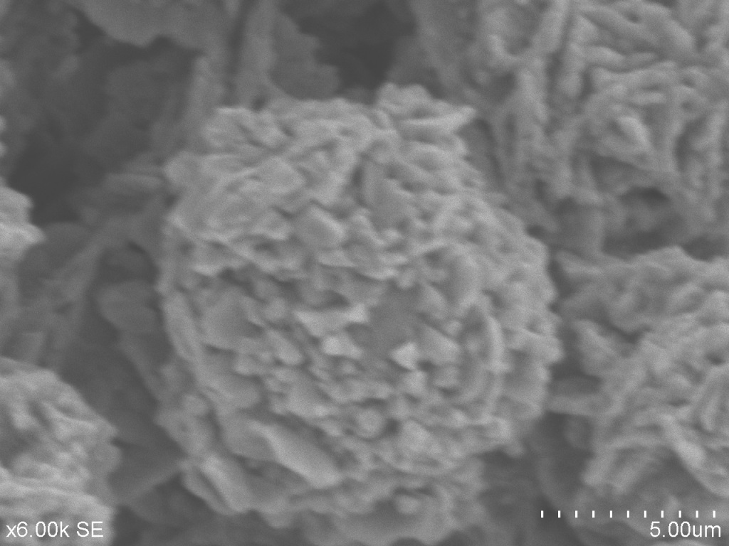 SEM Vanadium Trioxide 5um